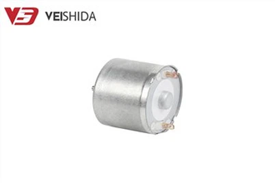 Yüksek Torklu Fırçalanmış DC Motor