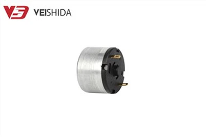 Yüksek Torklu Karbon Fırça DC Motor